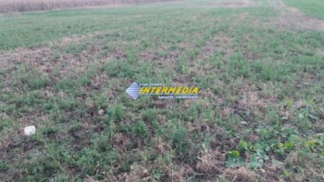 teren-de-vanzare-zona-s-centura-500mp